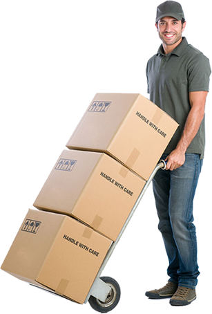 Best Packers and Movers in Vijayawada