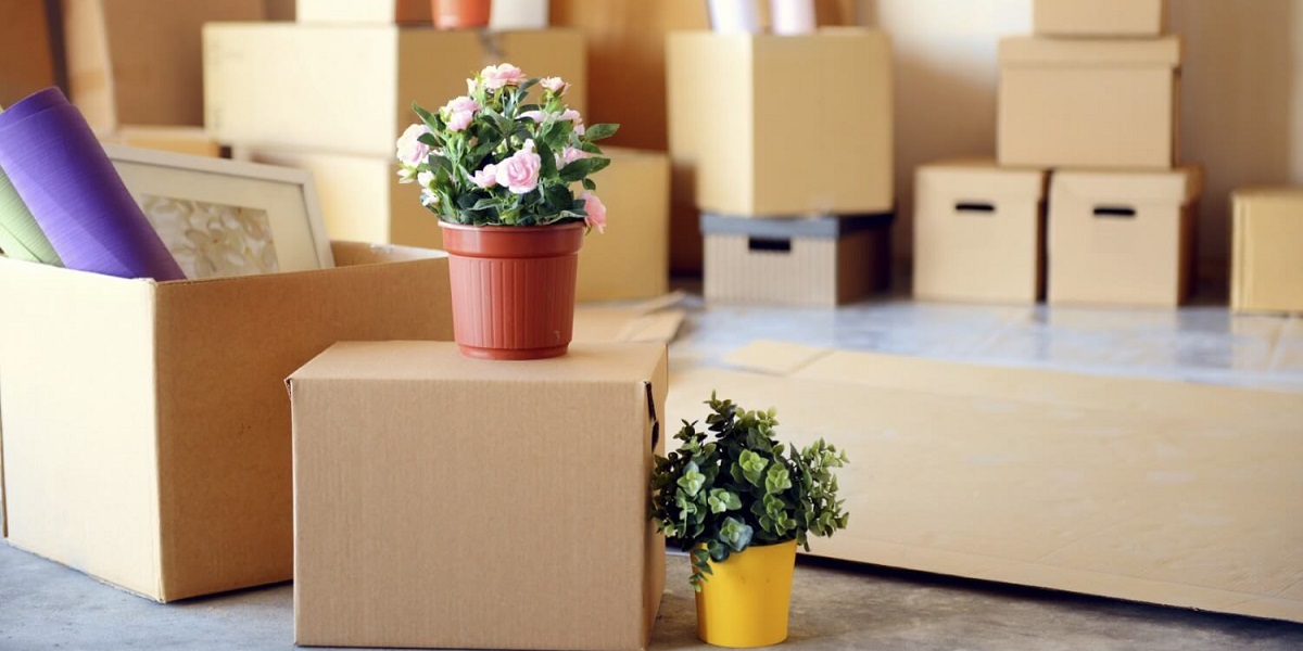 Domestic Moving in Vijayawada